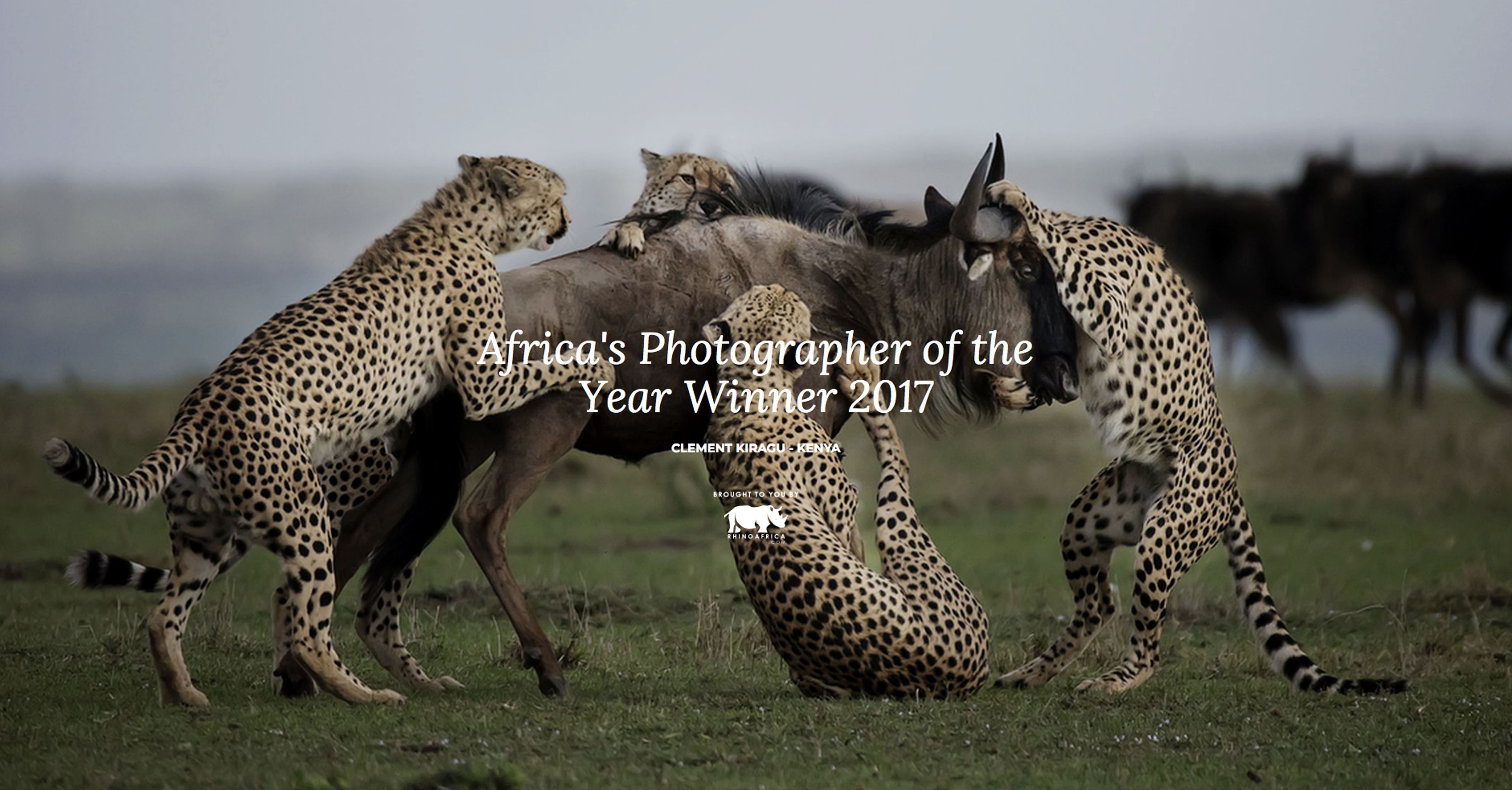 Africa's Photographer of the year 2017 - Clement Kiragu, Clement Wild, Wildlife Photography