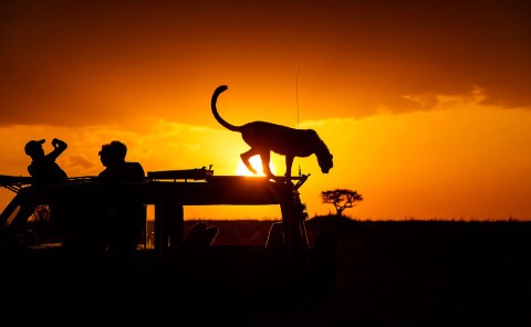 Silhouette of tourists taking a selfie with cheetah on top of a safari jeep at sunset as captured by wildlife photographer clement kiragu