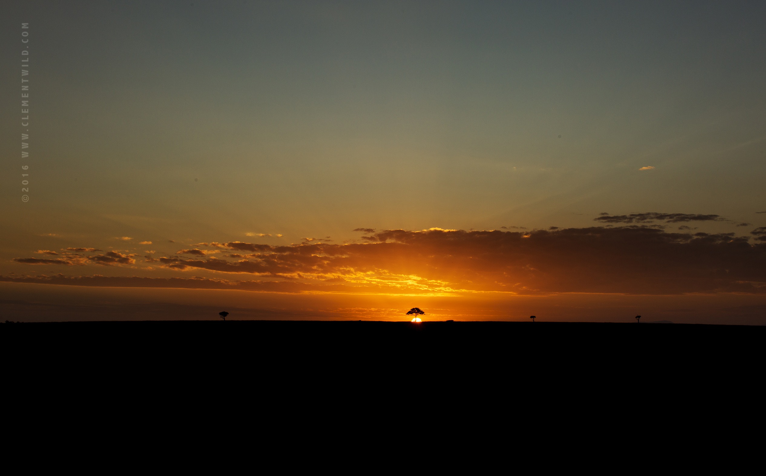 Big Cats, Cheetahs, Masai Mara, Kenya, Wildlife Photography, Photographic Safaris, Clement Wild, Sunset in the Mara