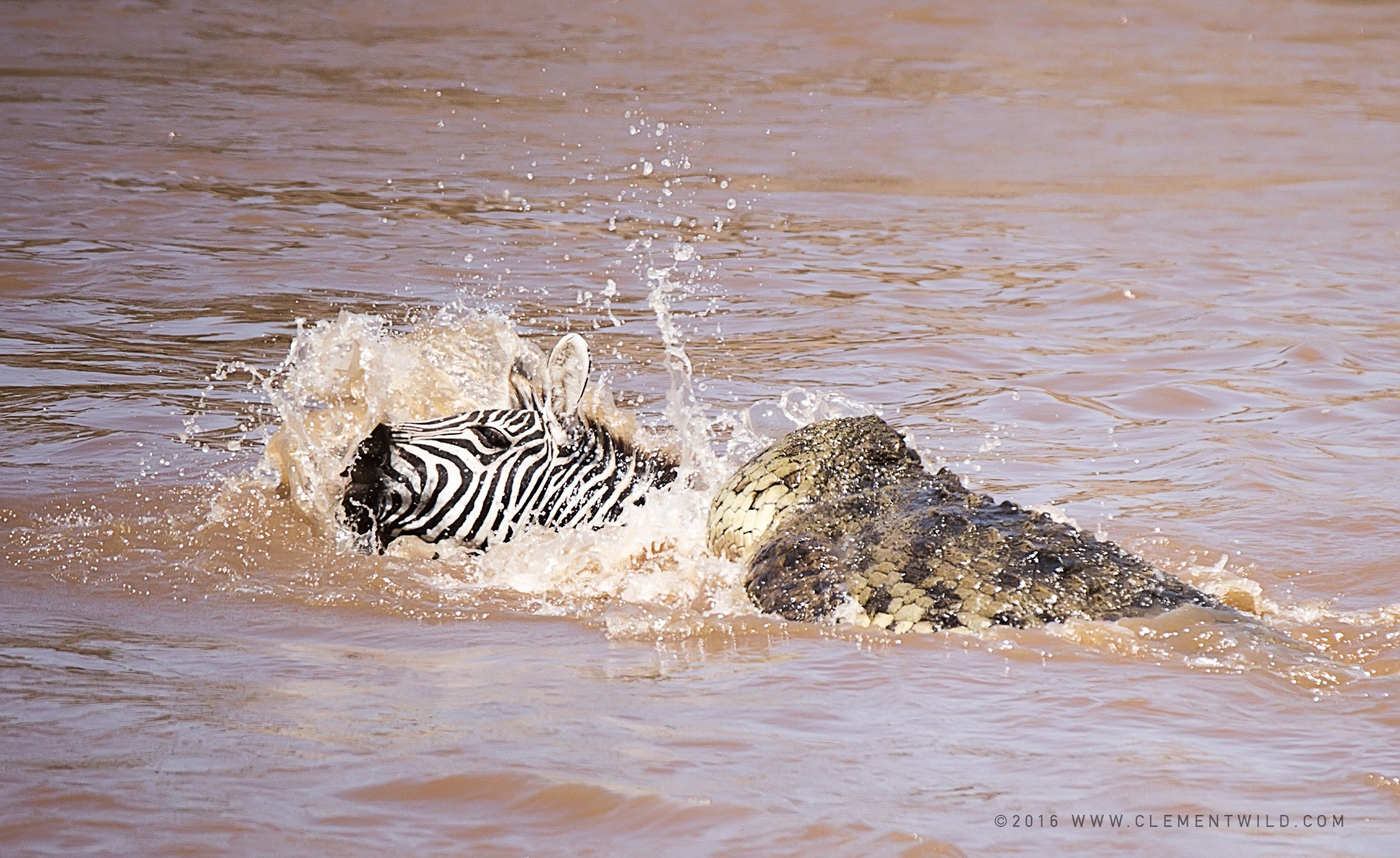 Wildlife Lovers, The Great Wildebeest Migration, Wildlife Photography, Photographic Safaris, Guided Safaris, Masai Mara, Nairobi, Kenya, Clement Wild