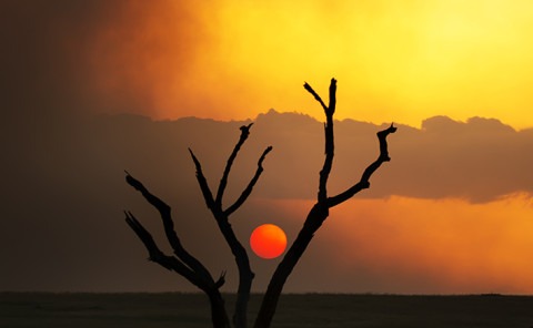 Sun goes down a smokey sky in Maasai mara Kenya as captured by landscape photographer Clement Wild