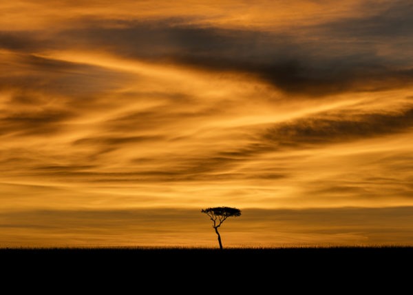 Dramatic Masai Mara Sunrise landscape with thick clouds as captured by photo tour leader ClementWild