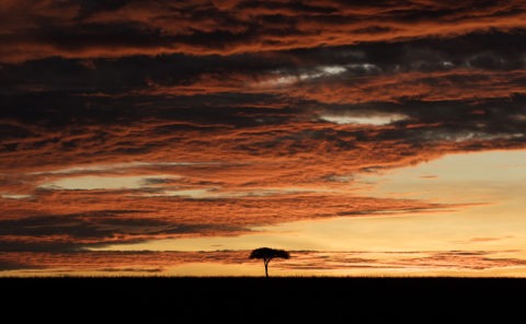 Dramatic Masai Mara Sunrise landscape with thick clouds as captured by photo tour leader ClementWild