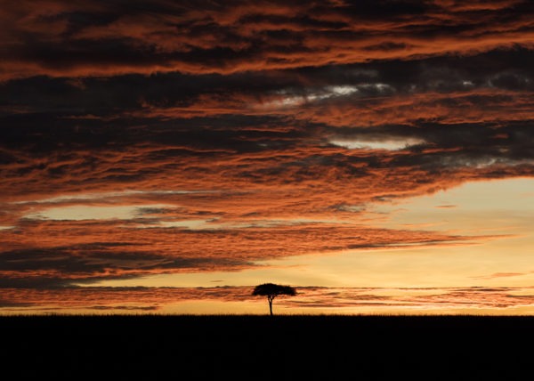 Dramatic Masai Mara Sunrise landscape with thick clouds as captured by photo tour leader ClementWild