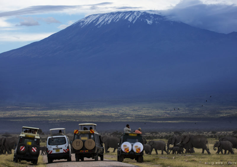 Tourists watching elephants with the backdrop of Mt Kilimanjaro photographed by Clement Kiragu