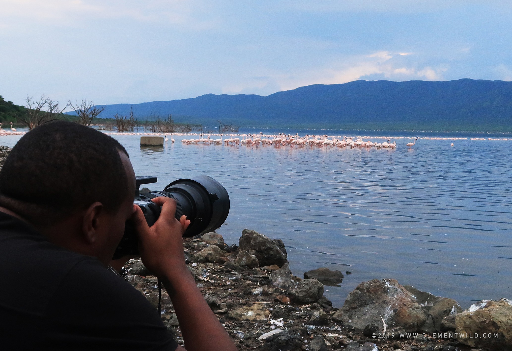ClementWild tour leader demonstrates how to photograph flamingos in Kenya on his annual bird migration photo safari