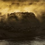 Dramatic wildebeest migration crossing in golden light in Maasai Mara on a ClementWild Photo Safari