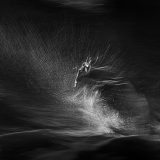 Panning shot of wildebeest crossing Mara River captured by ClementWIld