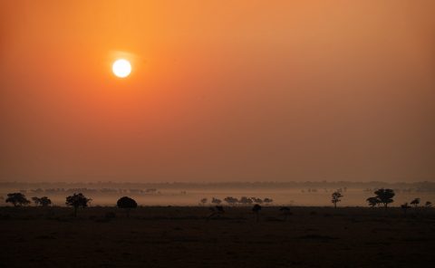 Mist as Sun rises in Maasai Mara