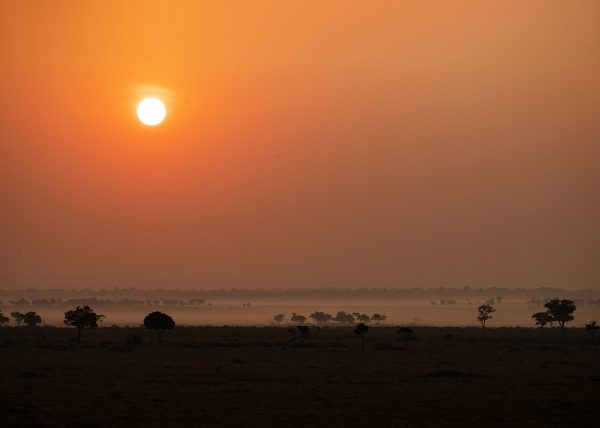 Mist as Sun rises in Maasai Mara