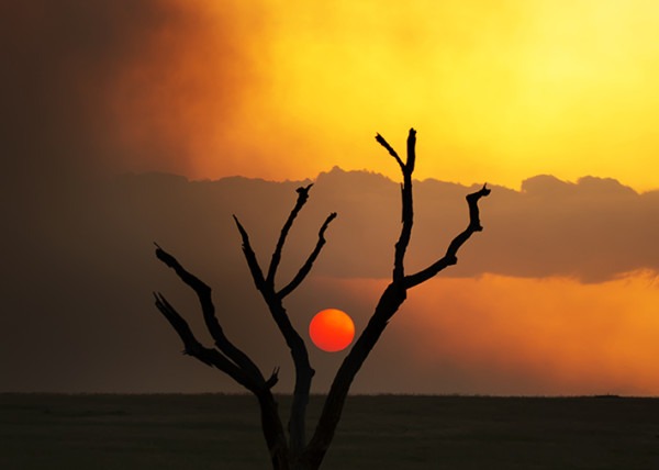 Sun goes down a smokey sky in Maasai mara Kenya as captured by landscape photographer Clement Wild