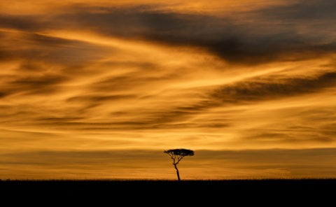 Dramatic Masai Mara Sunrise landscape with thick clouds as captured by photo tour leader ClementWild