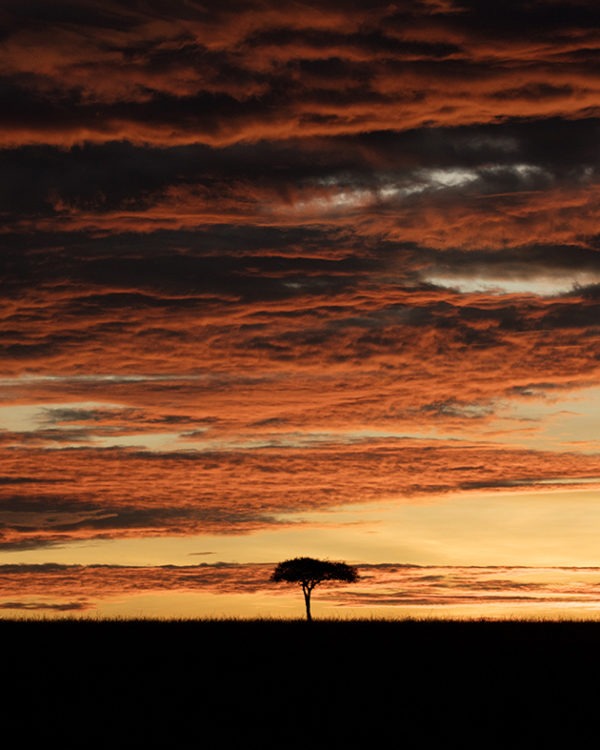 Dramatic Masai Mara Sunrise landscape with thick clouds as captured by photo tour leader ClementWild