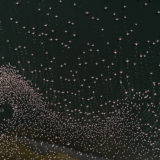 Aerial shot of flamingos in Kenyas Lake Bogoria as photographed by photo tour leader Clement Kiragu