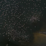 Aerial shot of flamingos in Kenyas Lake Bogoria as photographed by photo tour leader Clement Kiragu