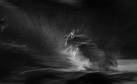 Panning shot of wildebeest crossing Mara River captured by ClementWIld