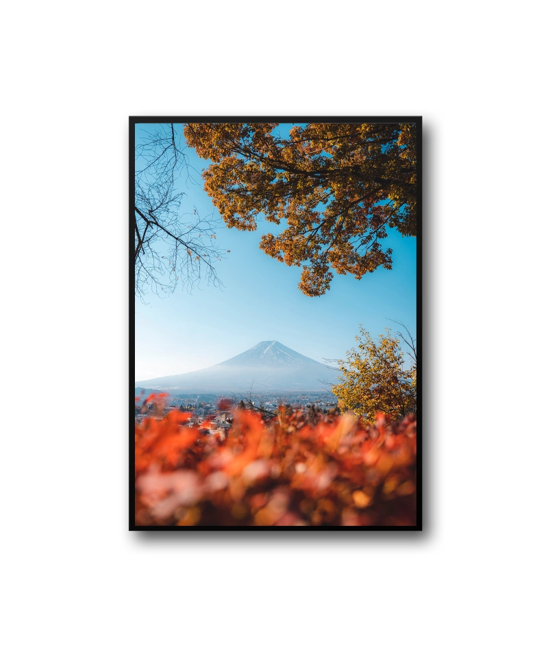 Spring Frame - Image 3